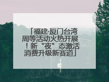福建·厦门台湾周等活动火热开展！新“夜”态激活消费升级新赛道