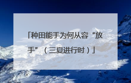 种田能手为何从容“放手”（三夏进行时）