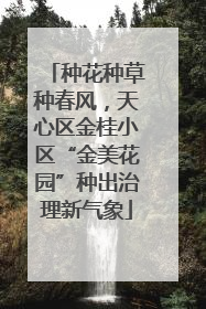 种花种草种春风，天心区金桂小区“金美花园”种出治理新气象