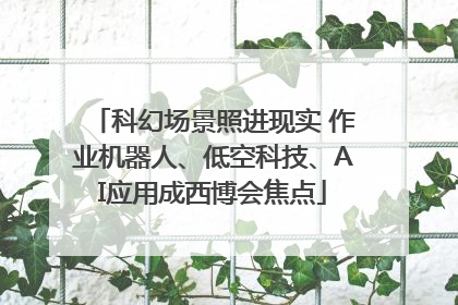 科幻场景照进现实 作业机器人、低空科技、AI应用成西博会焦点