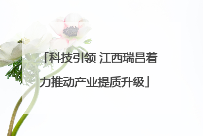 科技引领 江西瑞昌着力推动产业提质升级