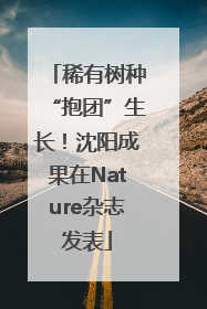 稀有树种“抱团”生长！沈阳成果在Nature杂志发表
