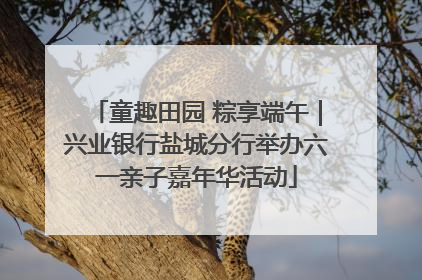童趣田园 粽享端午｜兴业银行盐城分行举办六一亲子嘉年华活动
