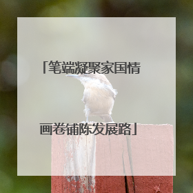 笔端凝聚家国情  画卷铺陈发展路