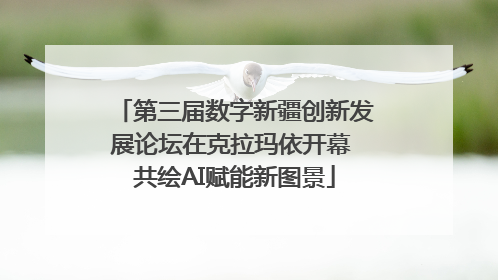 第三届数字新疆创新发展论坛在克拉玛依开幕 共绘AI赋能新图景