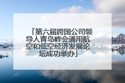 第六届跨国公司领导人青岛峰会通用航空和低空经济发展论坛成功举办