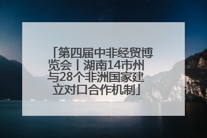 第四届中非经贸博览会丨湖南14市州与28个非洲国家建立对口合作机制