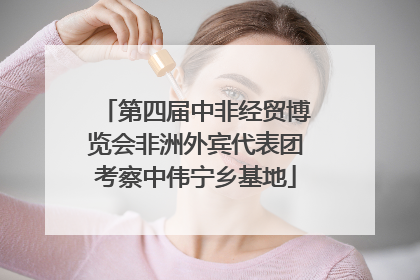 第四届中非经贸博览会非洲外宾代表团考察中伟宁乡基地