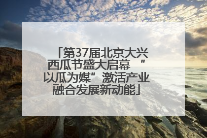 第37届北京大兴西瓜节盛大启幕 “以瓜为媒”激活产业融合发展新动能