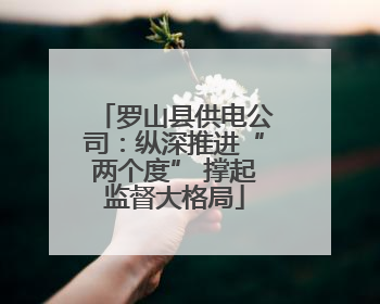 罗山县供电公司：纵深推进“两个度” 撑起监督大格局