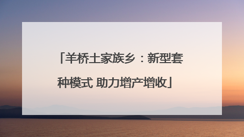 羊桥土家族乡：新型套种模式 助力增产增收