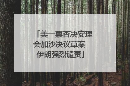美一票否决安理会加沙决议草案 伊朗强烈谴责