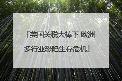 美国关税大棒下 欧洲多行业恐陷生存危机