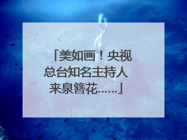 美如画！央视总台知名主持人来泉簪花……