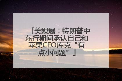 美媒爆：特朗普中东行期间承认自己和苹果CEO库克“有点小问题”