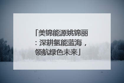 美锦能源姚锦丽：深耕氢能蓝海，领航绿色未来