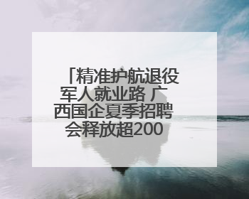精准护航退役军人就业路 广西国企夏季招聘会释放超2000+优质岗位