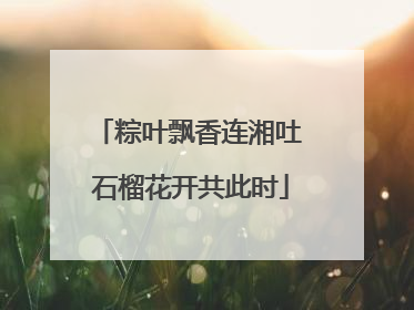 粽叶飘香连湘吐 石榴花开共此时