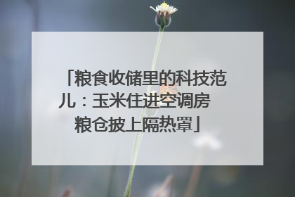 粮食收储里的科技范儿：玉米住进空调房 粮仓披上隔热罩