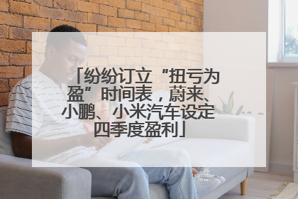 纷纷订立“扭亏为盈”时间表，蔚来、小鹏、小米汽车设定四季度盈利