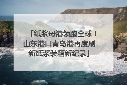 纸浆母港领跑全球！山东港口青岛港再度刷新纸浆装箱新纪录