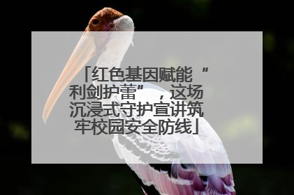 红色基因赋能“利剑护蕾”，这场沉浸式守护宣讲筑牢校园安全防线