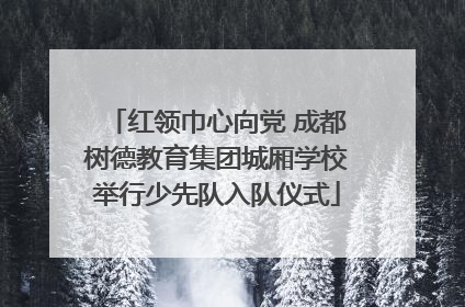 红领巾心向党 成都树德教育集团城厢学校举行少先队入队仪式