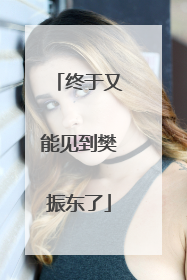 终于又能见到樊振东了