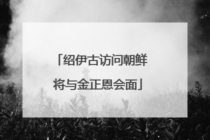 绍伊古访问朝鲜 将与金正恩会面