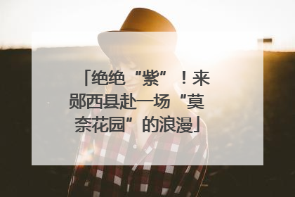 绝绝“紫”！来郧西县赴一场“莫奈花园”的浪漫