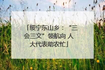 绥宁东山乡：“三会三文”领航向 人大代表助农忙