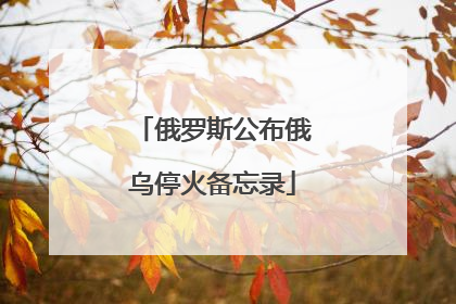 俄罗斯公布俄乌停火备忘录