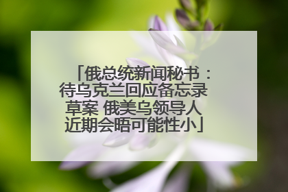俄总统新闻秘书：待乌克兰回应备忘录草案 俄美乌领导人近期会晤可能性小