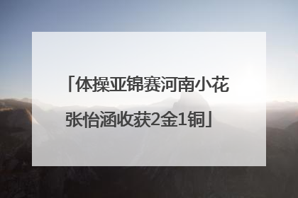 体操亚锦赛河南小花张怡涵收获2金1铜