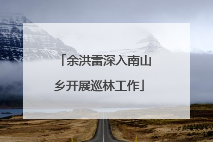 余洪雷深入南山乡开展巡林工作