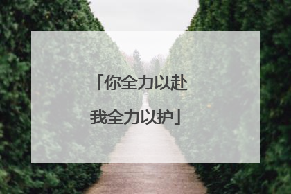 你全力以赴 我全力以护
