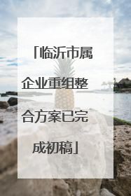 临沂市属企业重组整合方案已完成初稿