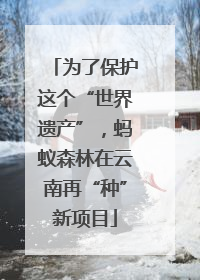 为了保护这个“世界遗产”，蚂蚁森林在云南再“种”新项目