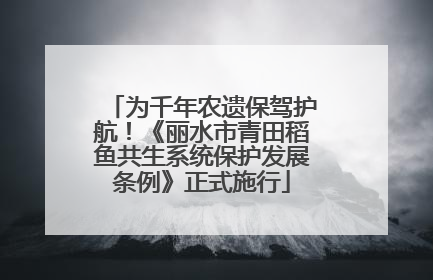 为千年农遗保驾护航！《丽水市青田稻鱼共生系统保护发展条例》正式施行