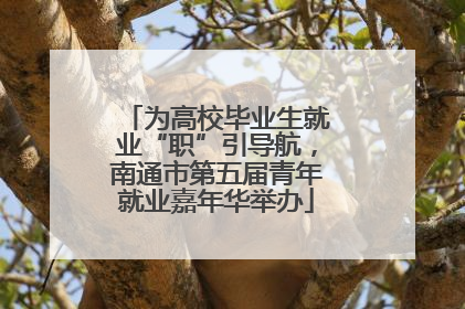 为高校毕业生就业“职”引导航，南通市第五届青年就业嘉年华举办