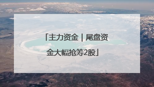 主力资金｜尾盘资金大幅抢筹2股