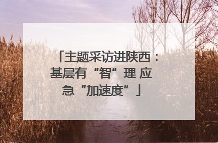 主题采访进陕西：基层有“智”理 应急“加速度”