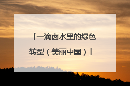 一滴卤水里的绿色转型（美丽中国）