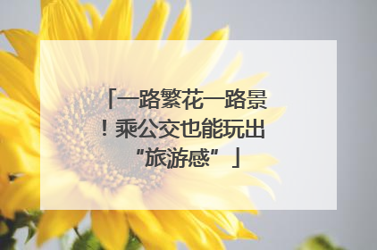 一路繁花一路景！乘公交也能玩出“旅游感”