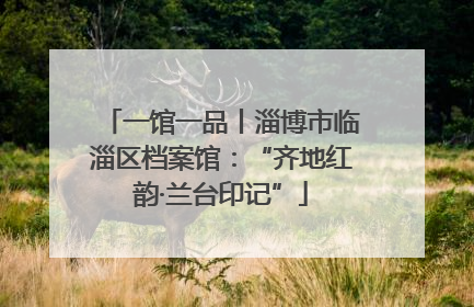 一馆一品丨淄博市临淄区档案馆：“齐地红韵·兰台印记”