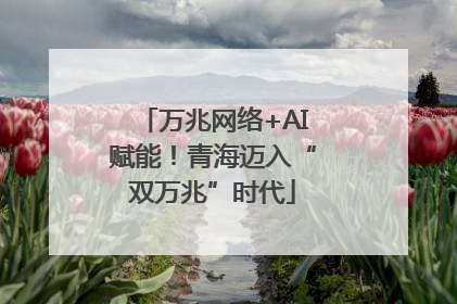万兆网络+AI赋能！青海迈入“双万兆”时代