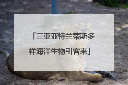 三亚亚特兰蒂斯多样海洋生物引客来