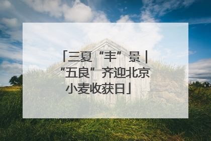 三夏“丰”景｜“五良”齐迎北京小麦收获日