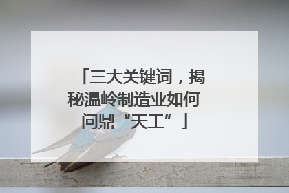 三大关键词，揭秘温岭制造业如何问鼎“天工”