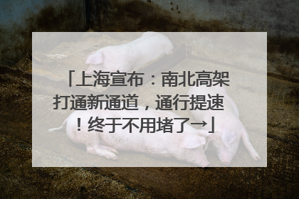 上海宣布：南北高架打通新通道，通行提速！终于不用堵了→